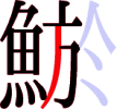 鯲の15画目 鯲の15画目
