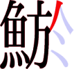 鯲の16画目 鯲の16画目